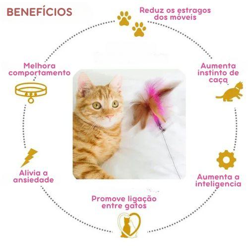 Brinquedo Coleira Pega-Pena para Gatos