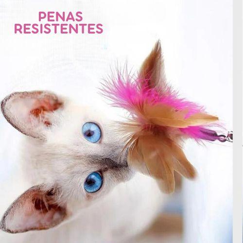 Brinquedo Coleira Pega-Pena para Gatos