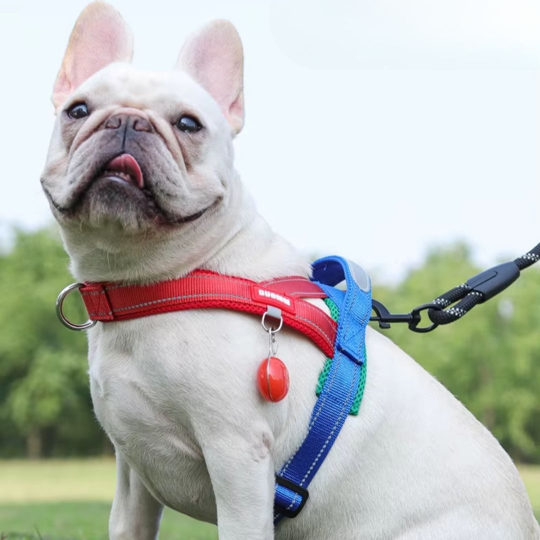 Coleira Peitoral Estilo Sela para Cães