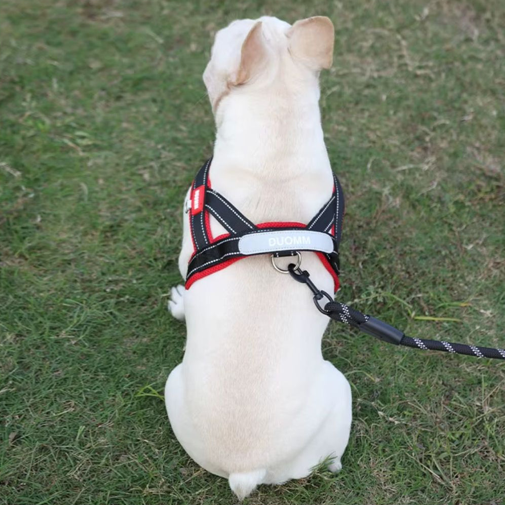 Coleira Peitoral Estilo Sela para Cães