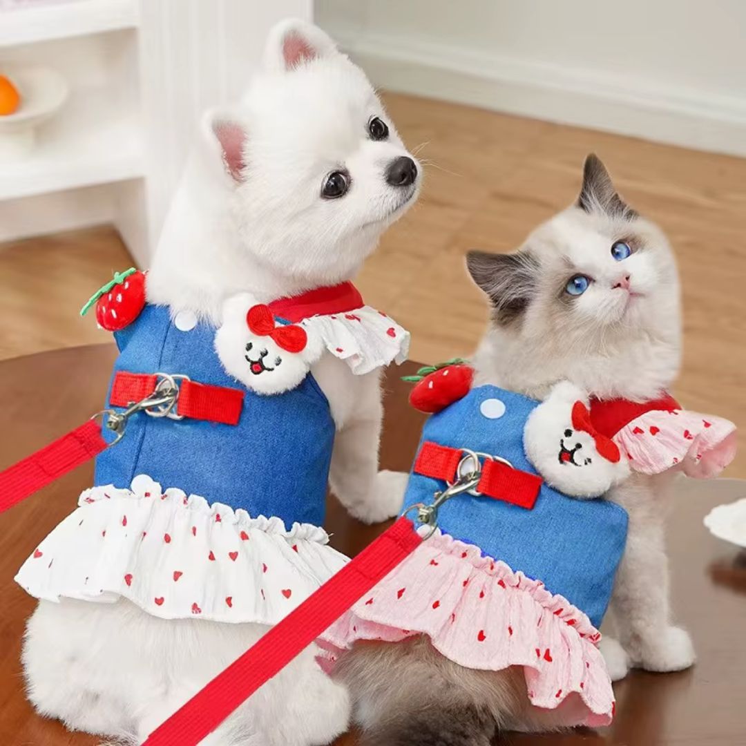 Coleira Peitoral com Saia para Cães e Gatos