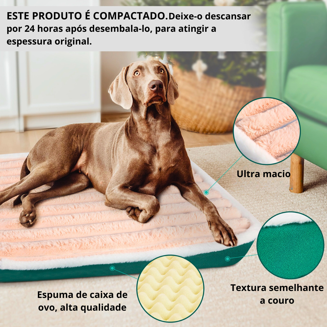 Cama Pet King