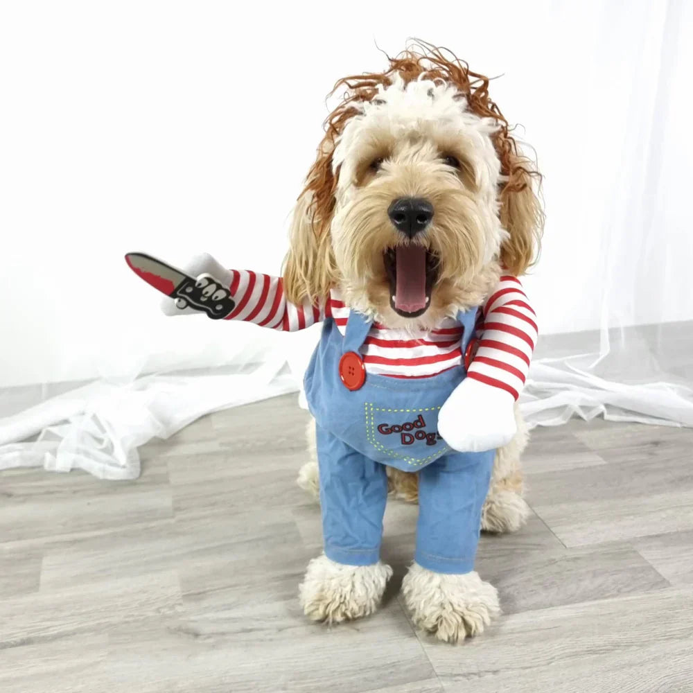 Fantasia Chucky Pet – Cães e Gatos