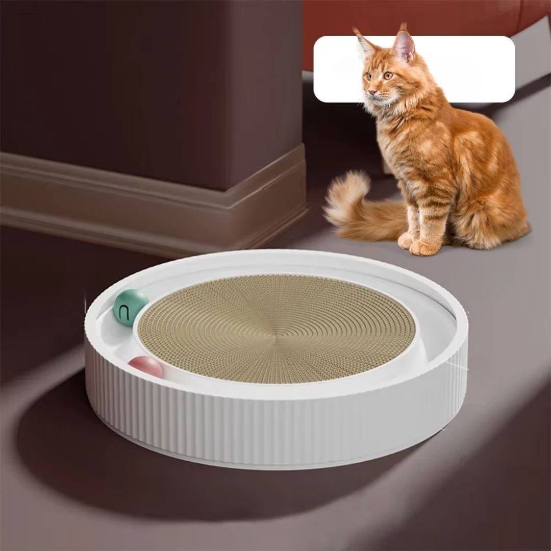 Arranhador Redondo com Cama e Bola para Gatos