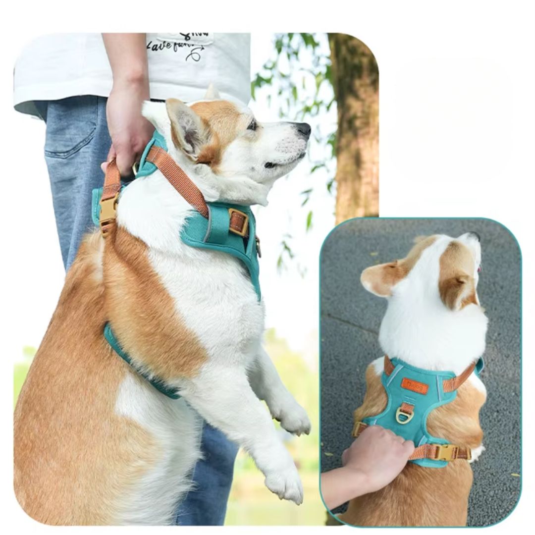Coleira Peitoral Antipuxão para Cães
