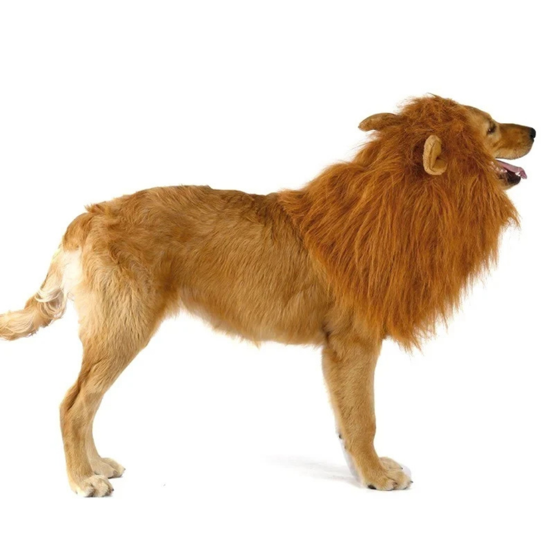 Fantasia de Juba de Leão para Cães e Gatos