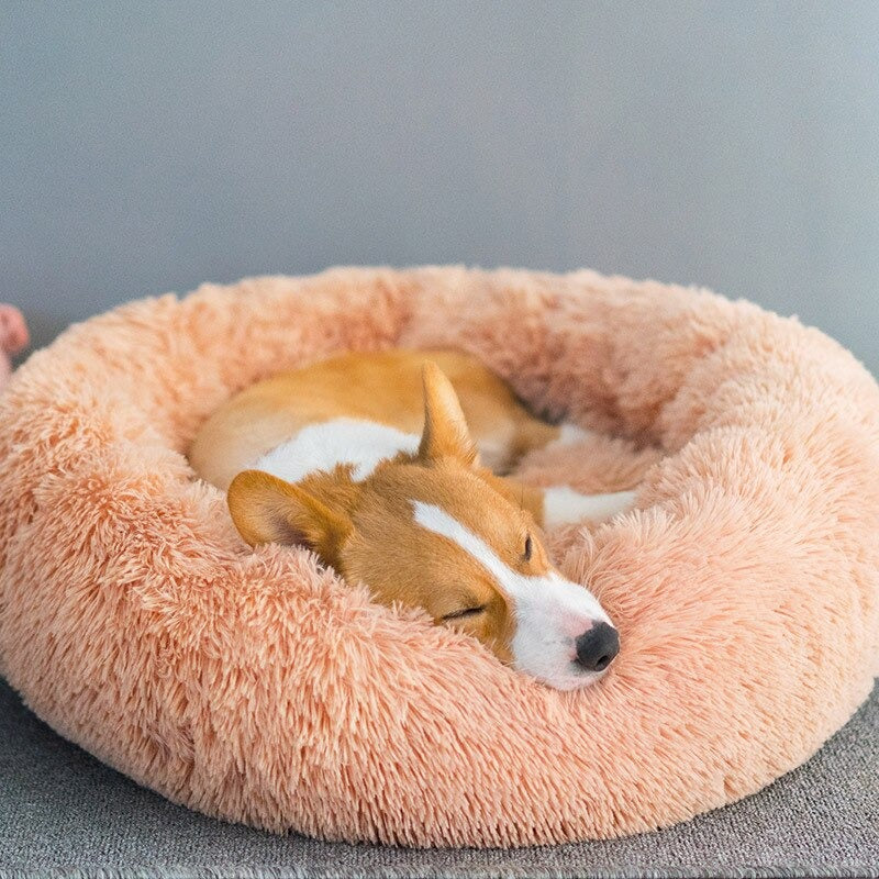 Cama Nuvem