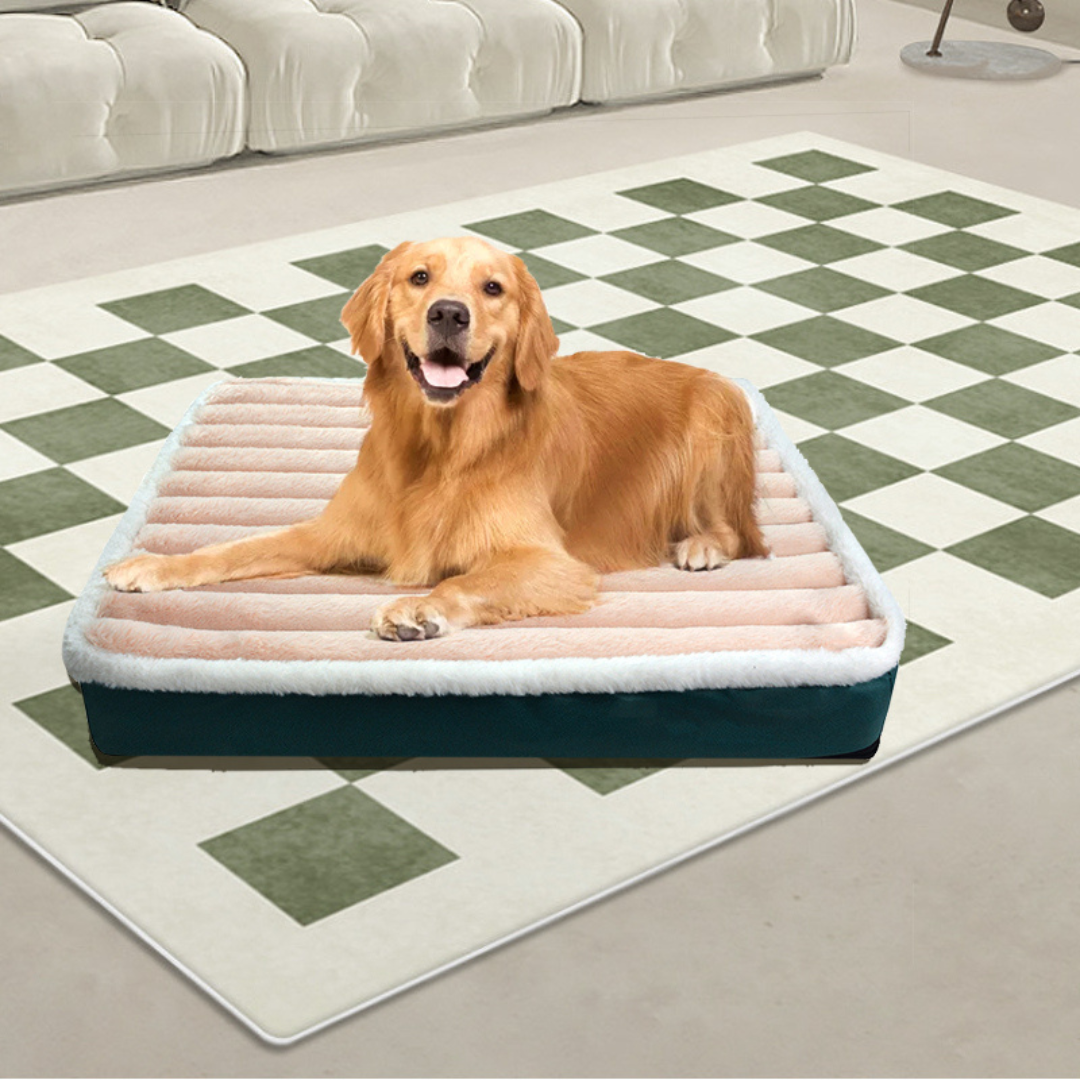 Cama Pet King