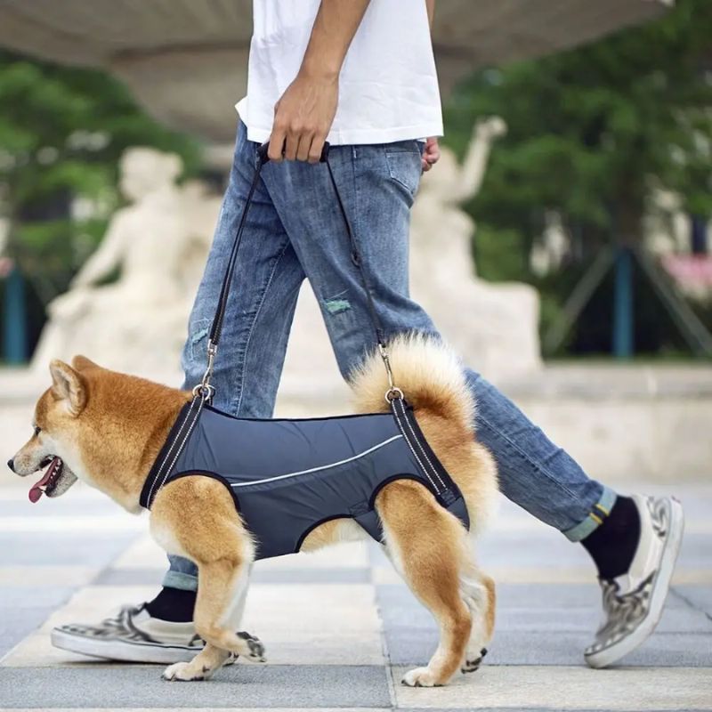 Peitoral de Suporte Ortopédico para Cães