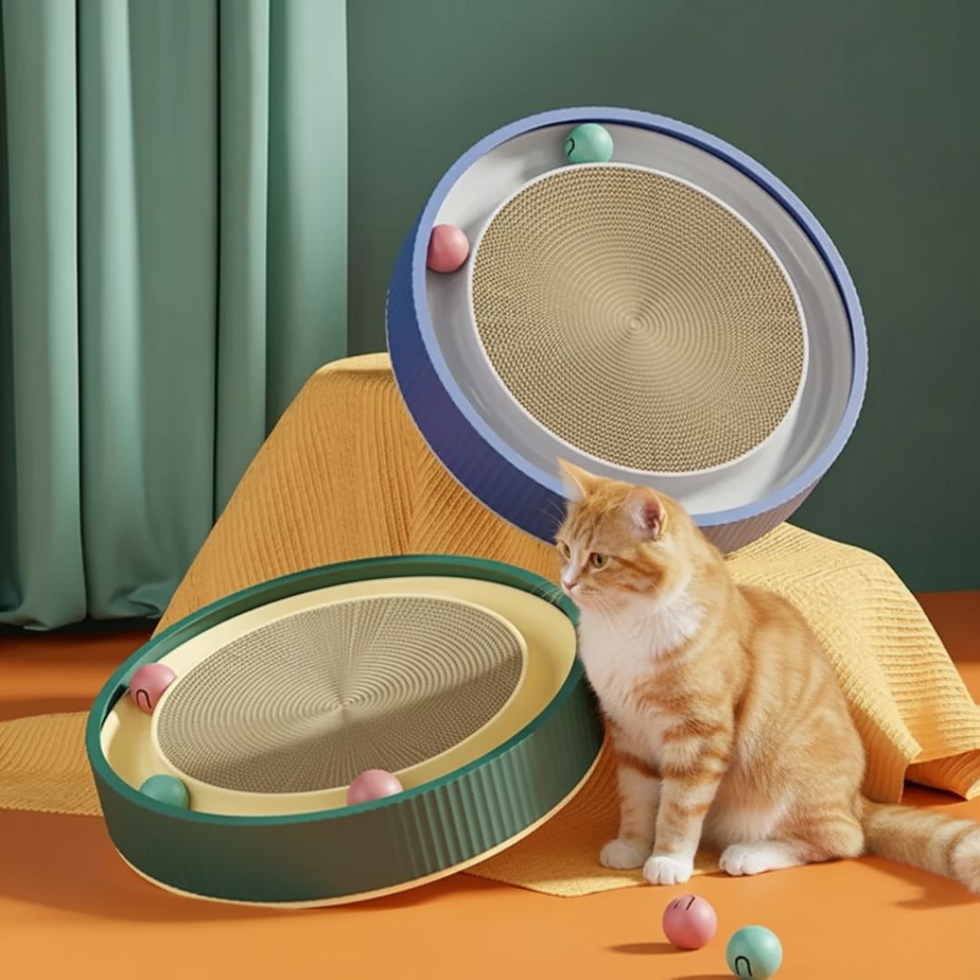 Arranhador Redondo com Cama e Bola para Gatos