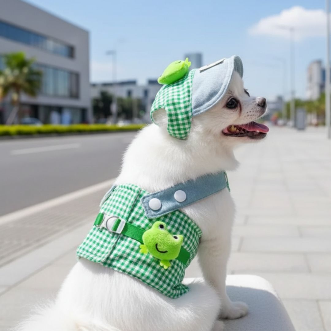 Boné e Peitoral de Luxo para Pets