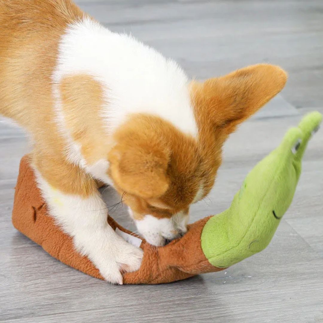 Brinquedo Esconde-Petisco Caracol para Cães
