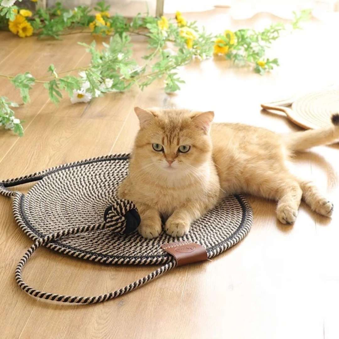 Tapete Arranhador para Gatos