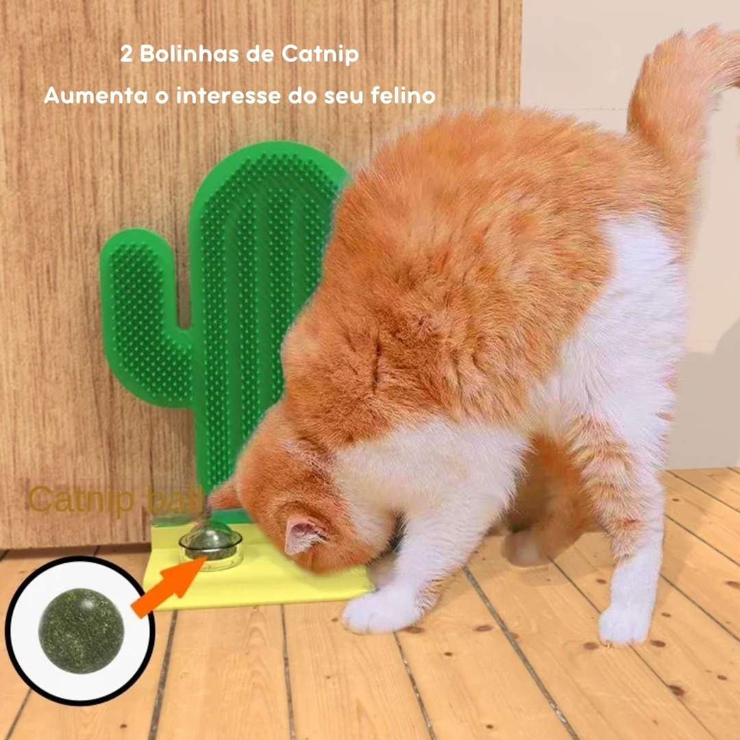 Massageador de Canto Cacto Felino com Catnip