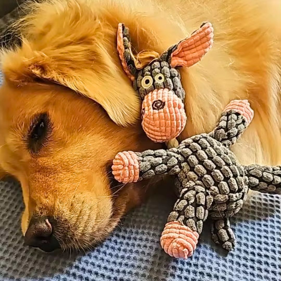 Brinquedo ZigZag com Apito para Pets