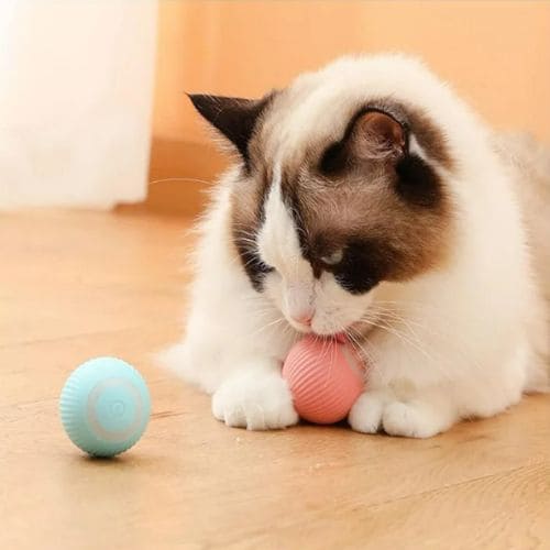 Bola Inteligente Interativa para Pets