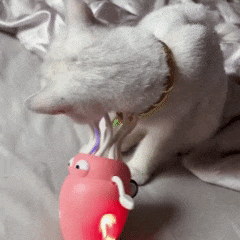 Polvinho Dançarino Interativo para Pets