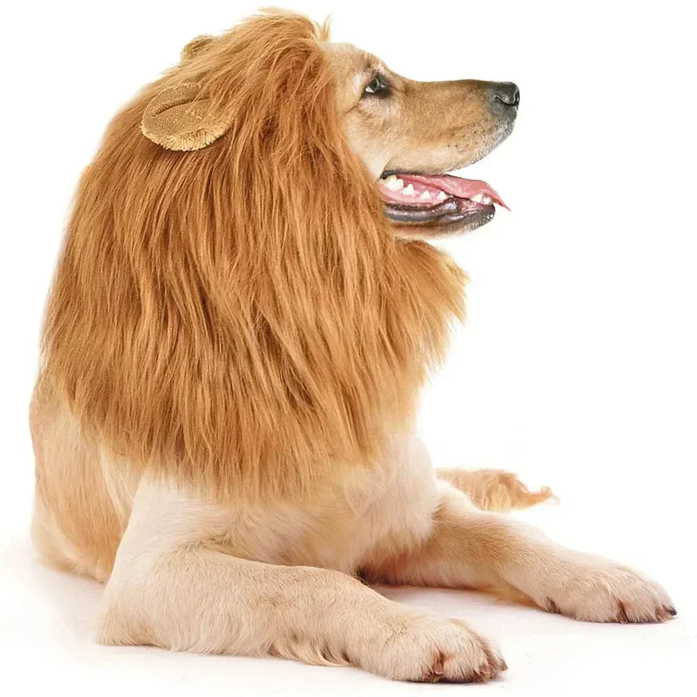 Fantasia de Juba de Leão para Cães e Gatos