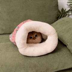 Saquinho de Dormir Confortável para Gatos
