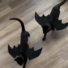 Fantasia de Asas de Morcego para Pets