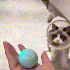 Bola Inteligente Interativa para Pets