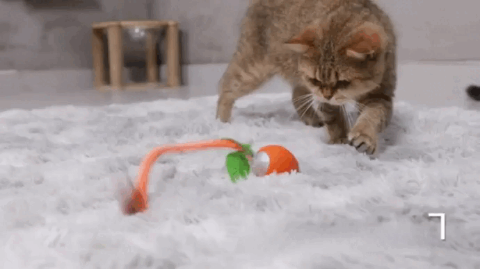 Brinquedo Interativo Recarregável Cenoura para Pets