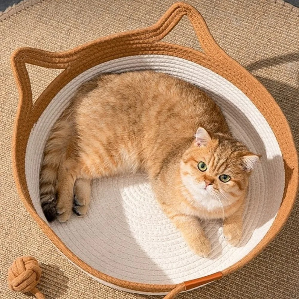 Cama Cesto Cat