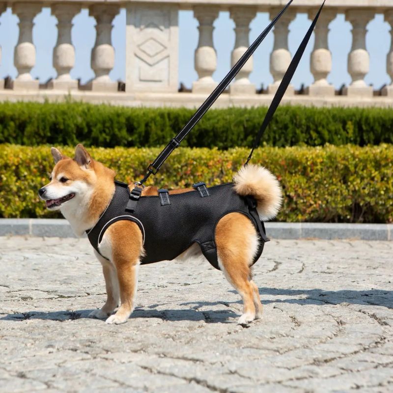 Peitoral de Suporte Ortopédico para Cães