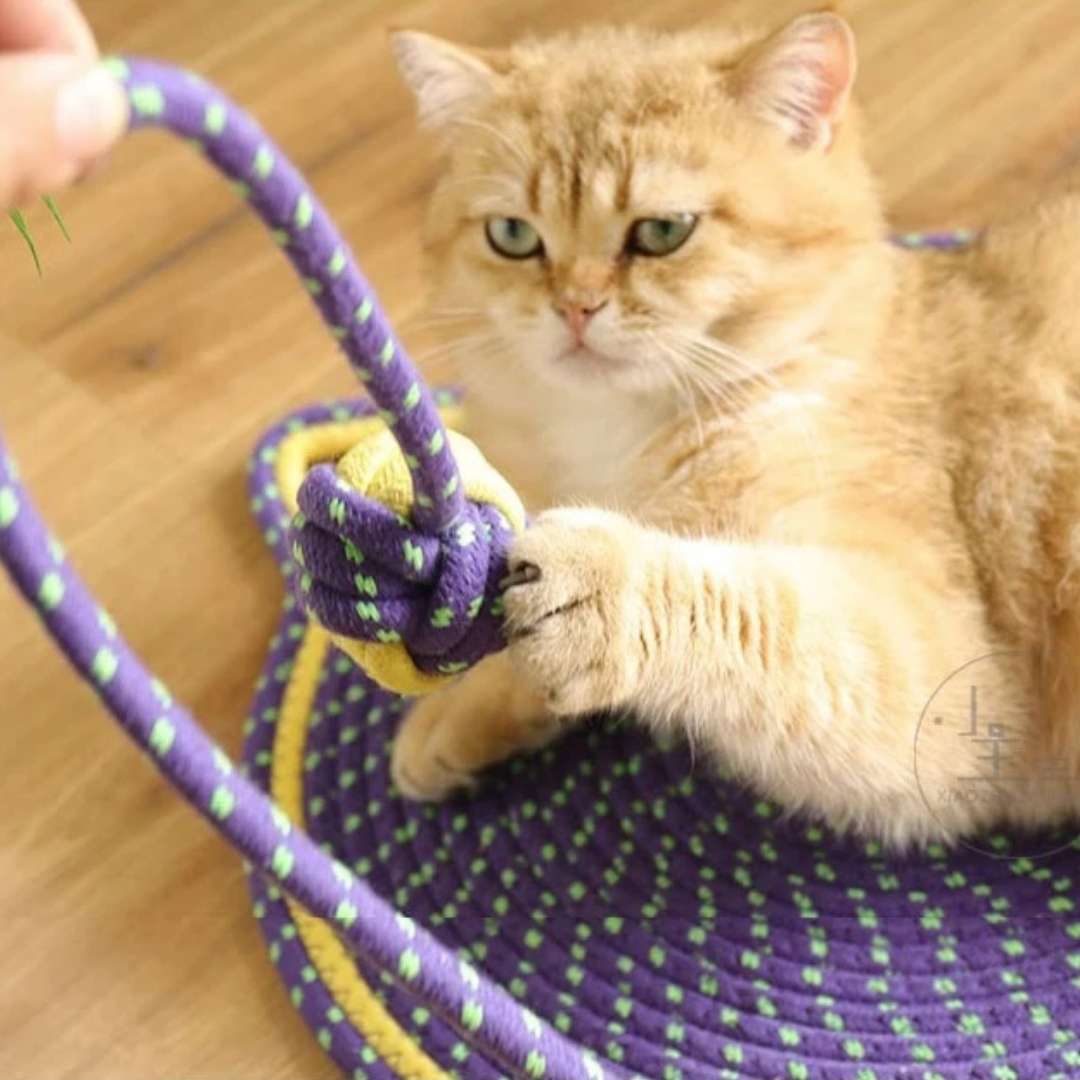 Tapete Arranhador para Gatos