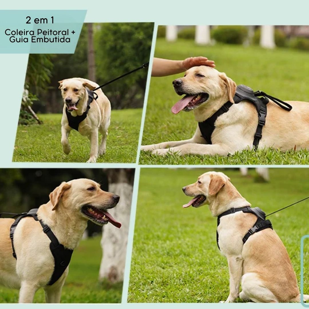 Coleira com Guia Embutida para Pets