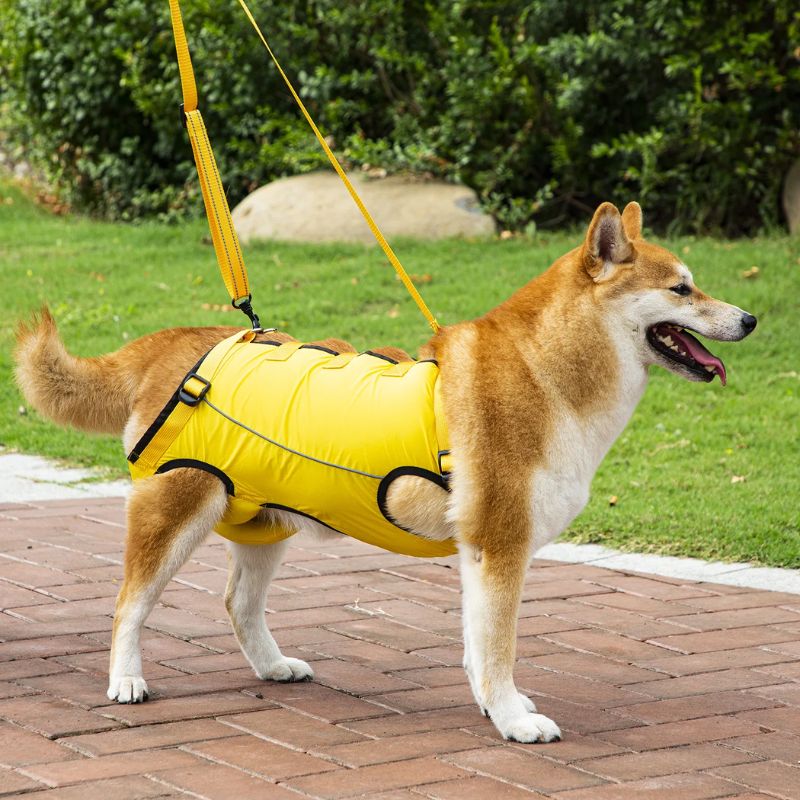 Peitoral de Suporte Ortopédico para Cães