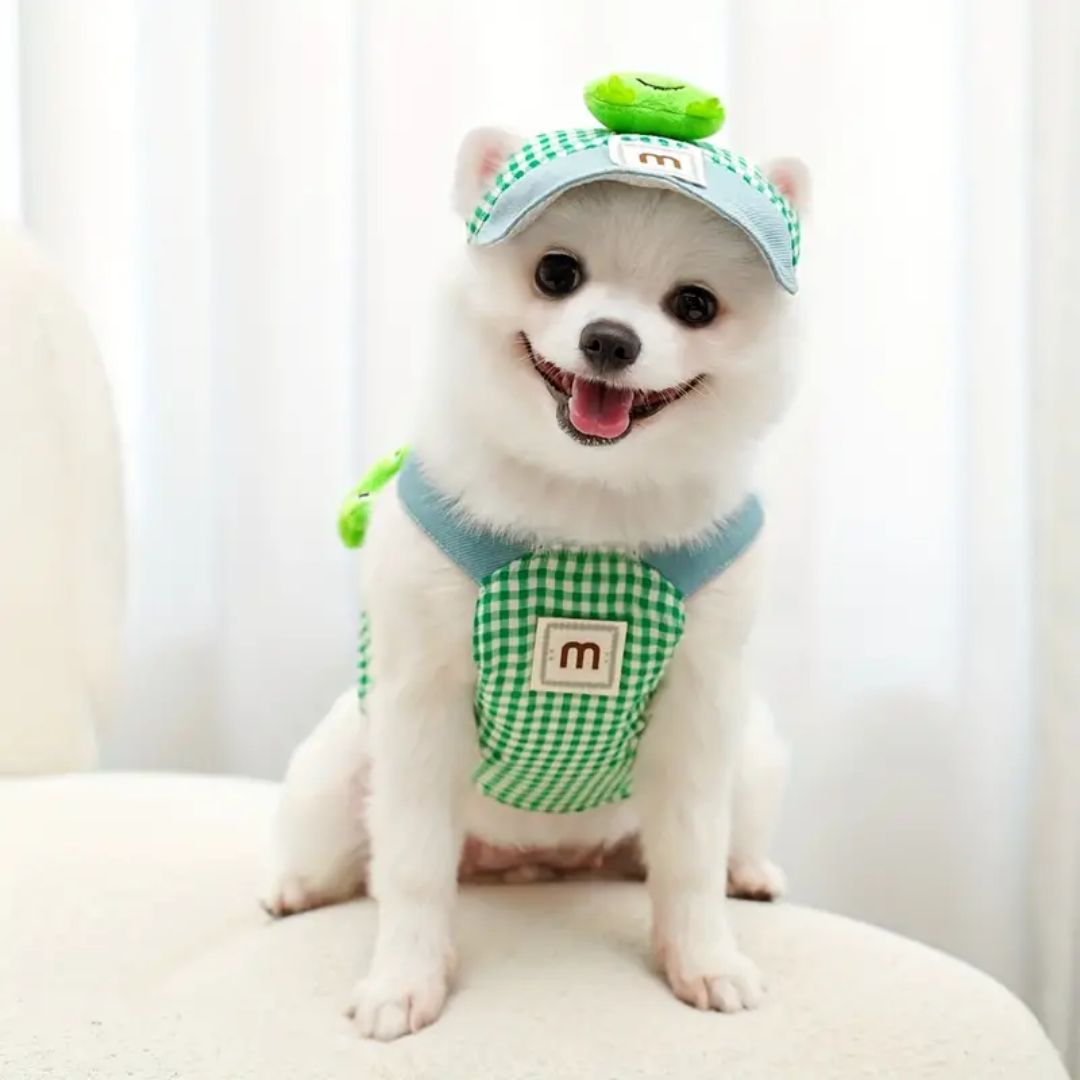 Boné e Peitoral de Luxo para Pets