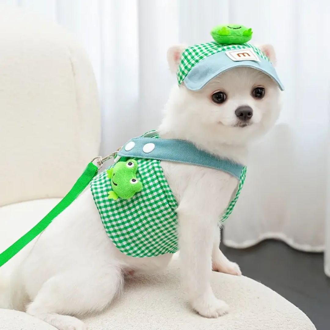 Boné e Peitoral de Luxo para Pets