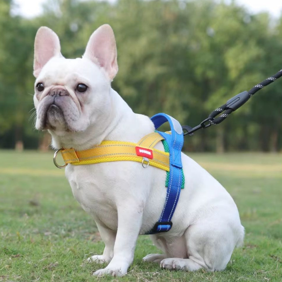 Coleira Peitoral Estilo Sela para Cães