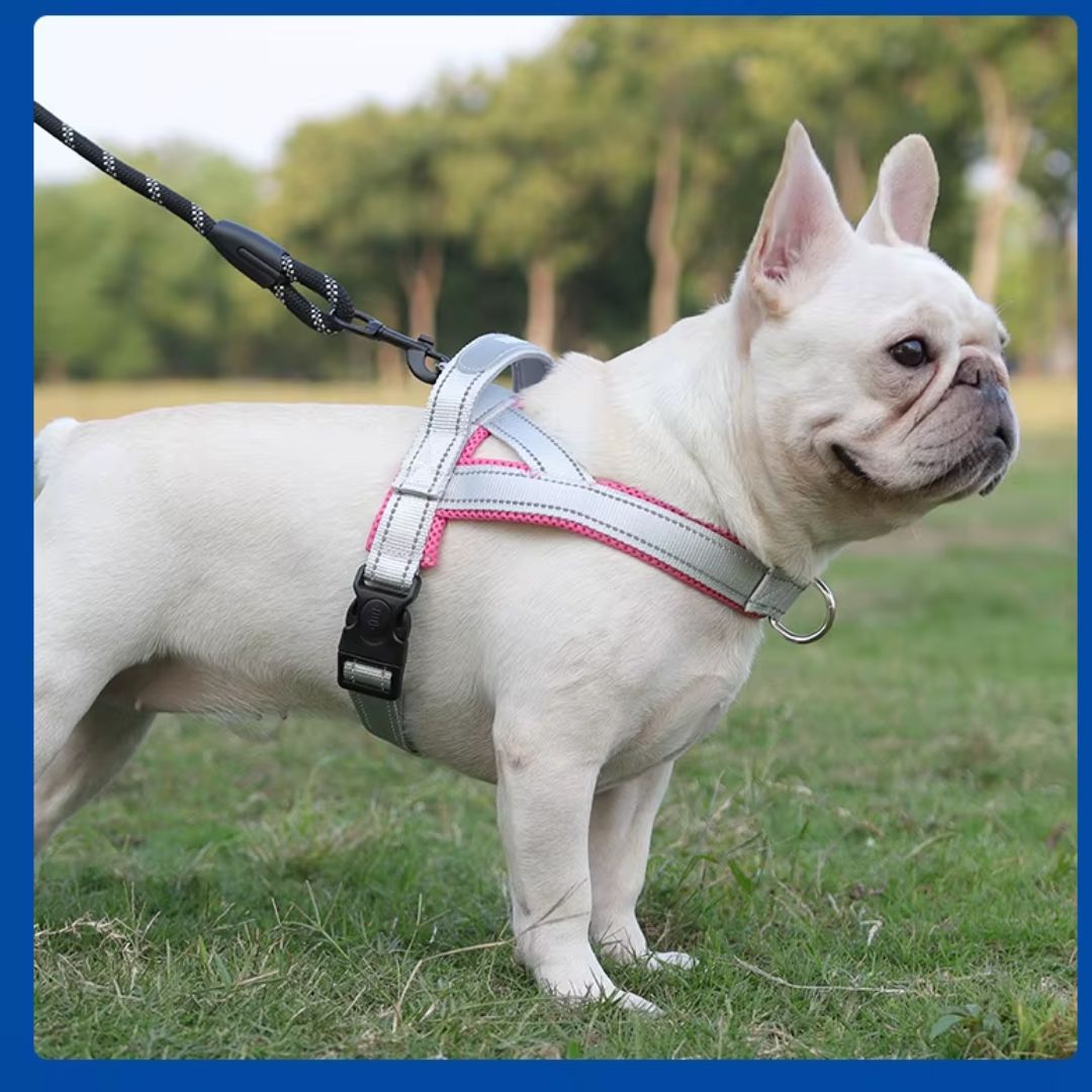 Coleira Peitoral Estilo Sela para Cães