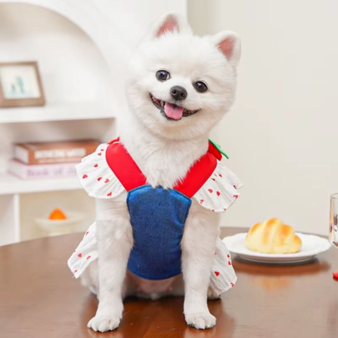 Coleira Peitoral com Saia para Cães e Gatos