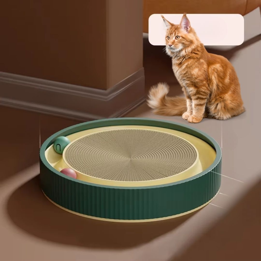 Arranhador Redondo com Cama e Bola para Gatos
