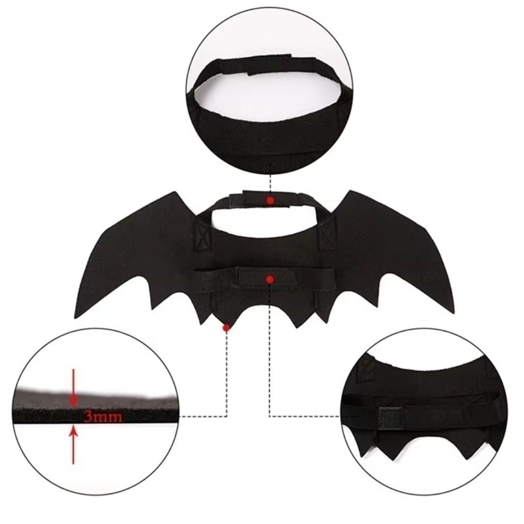 Fantasia de Asas de Morcego para Pets