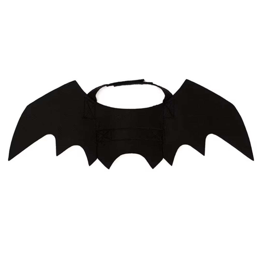 Fantasia de Asas de Morcego para Pets