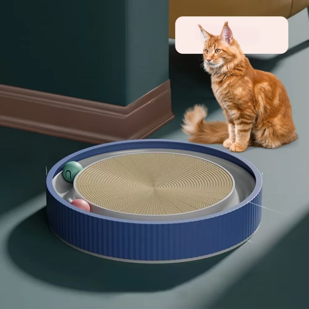 Arranhador Redondo com Cama e Bola para Gatos