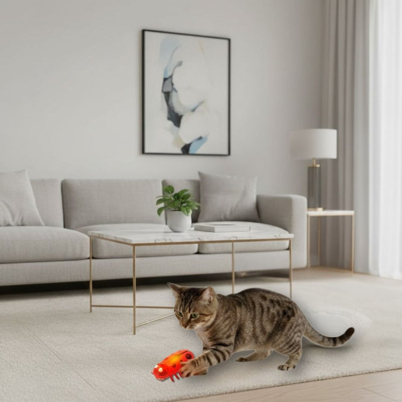 Brinquedo Inseto Elétrico para Gatos