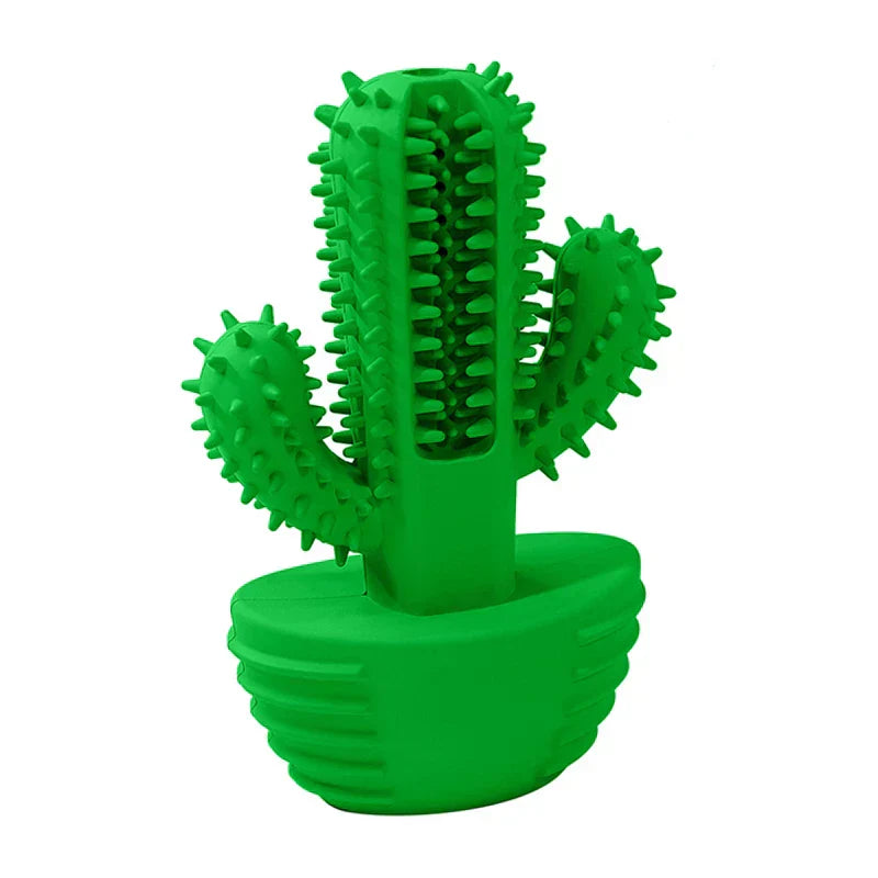 Cacto Mordedor Limpa Dente para Cão