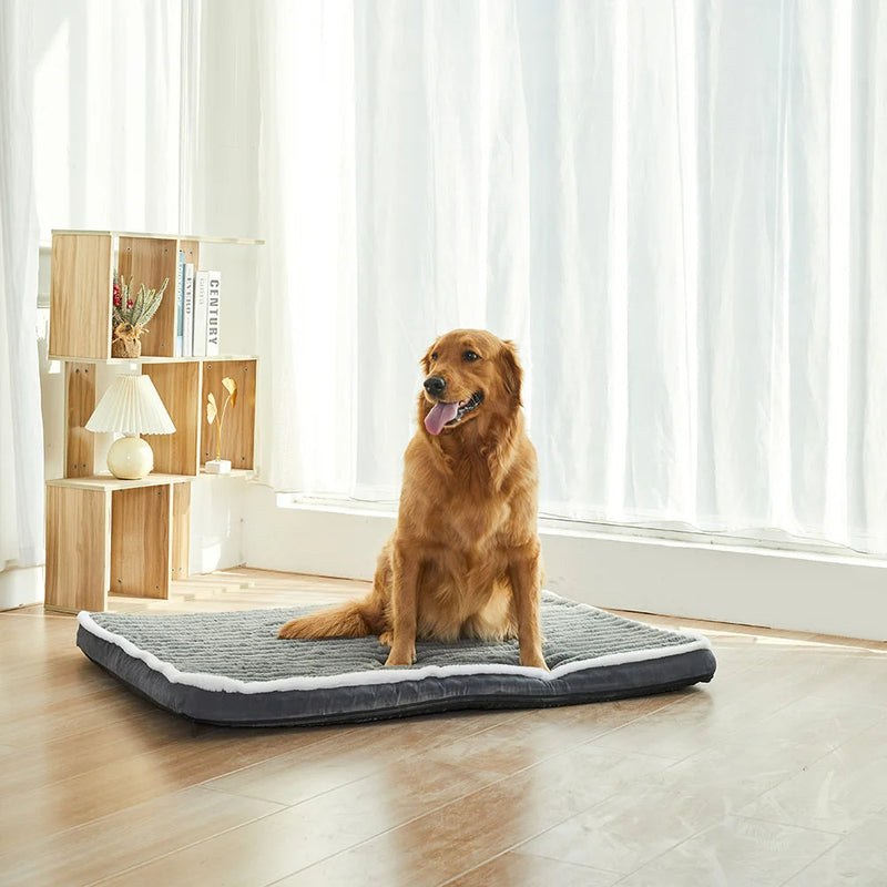 Cama Pet King