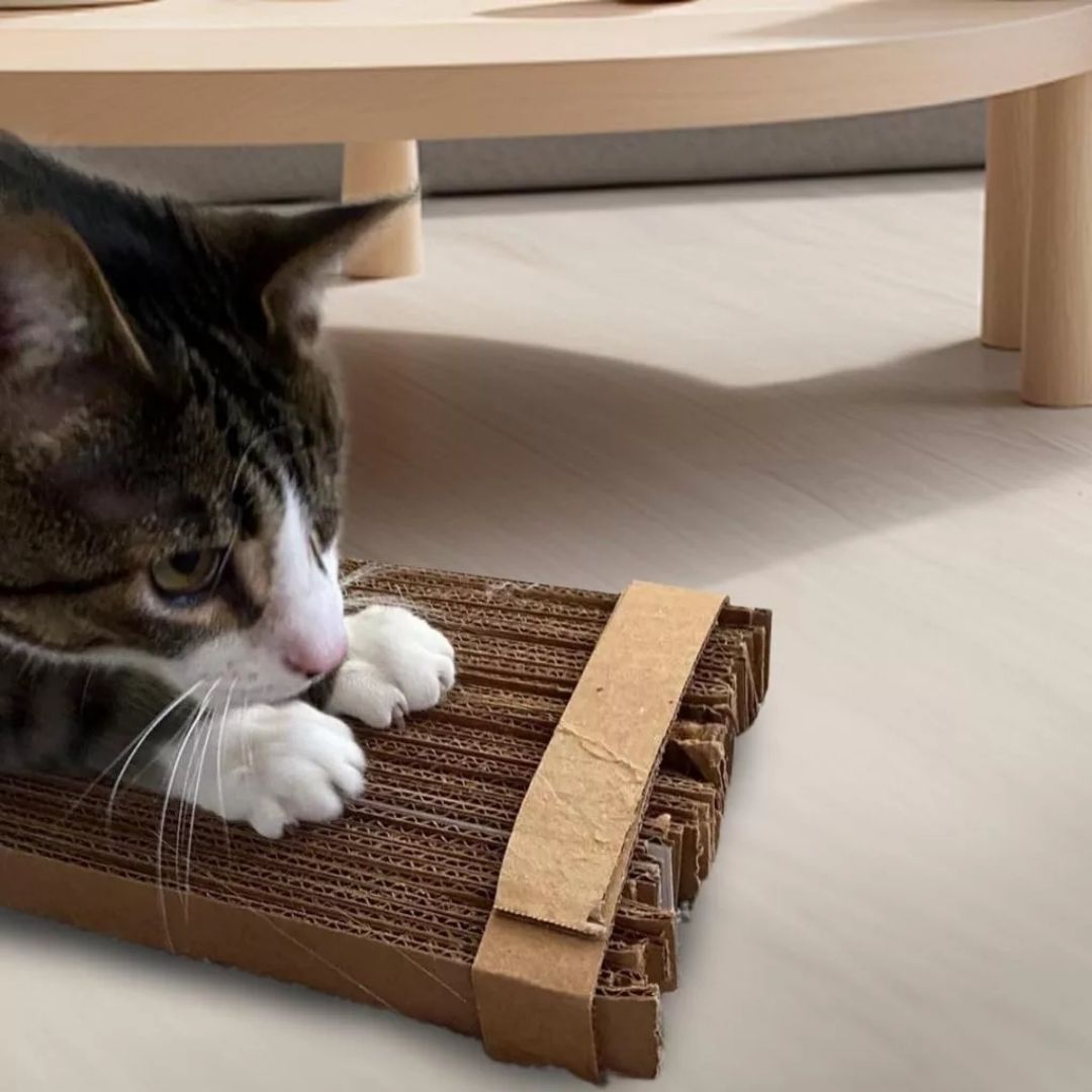 Cortador de Papelão para Gatos