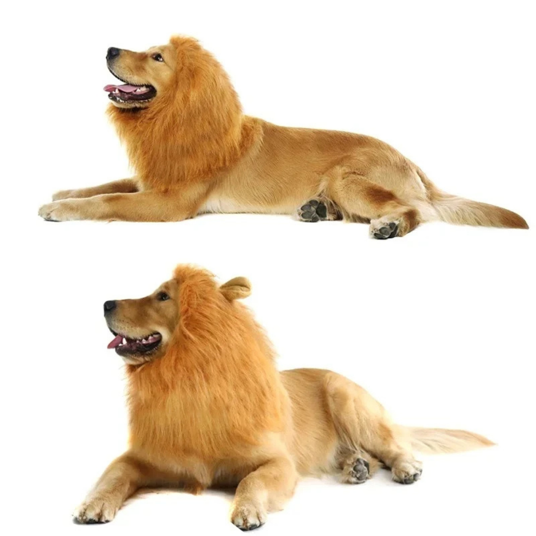 Fantasia de Juba de Leão para Cães e Gatos