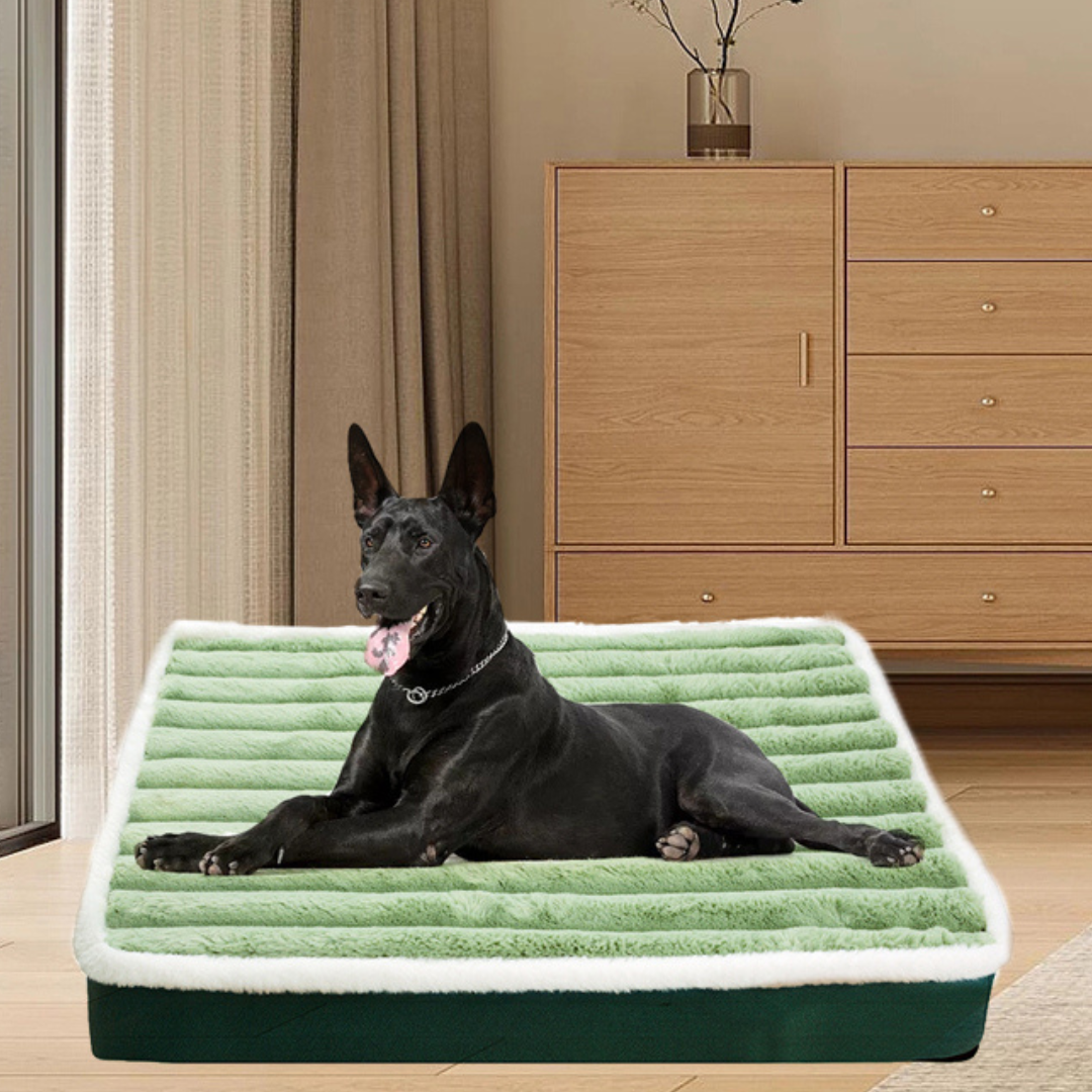 Cama Pet King