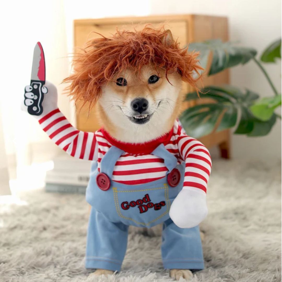 Fantasia Chucky Pet – Cães e Gatos