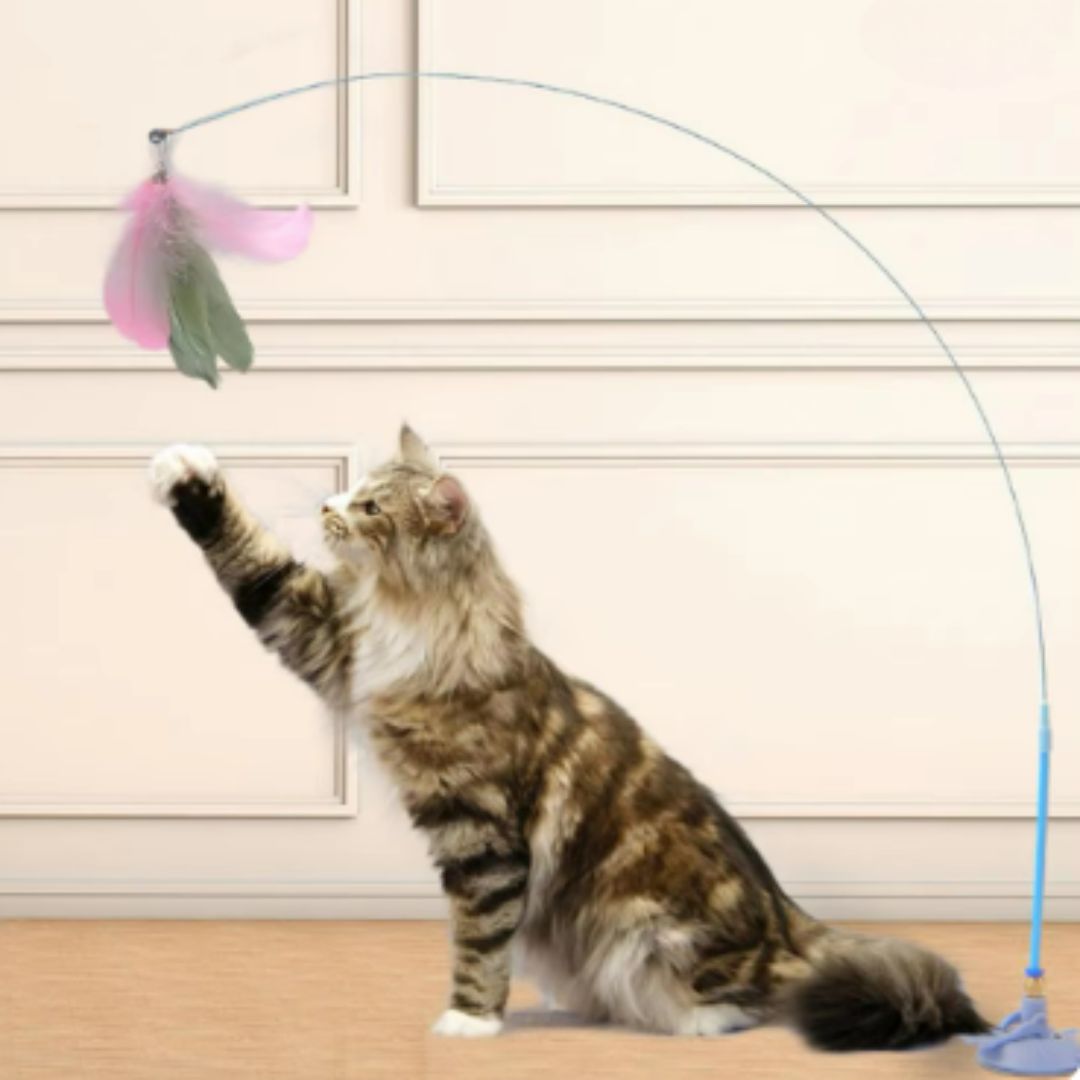 Haste Ventosa Interativa para Gatos