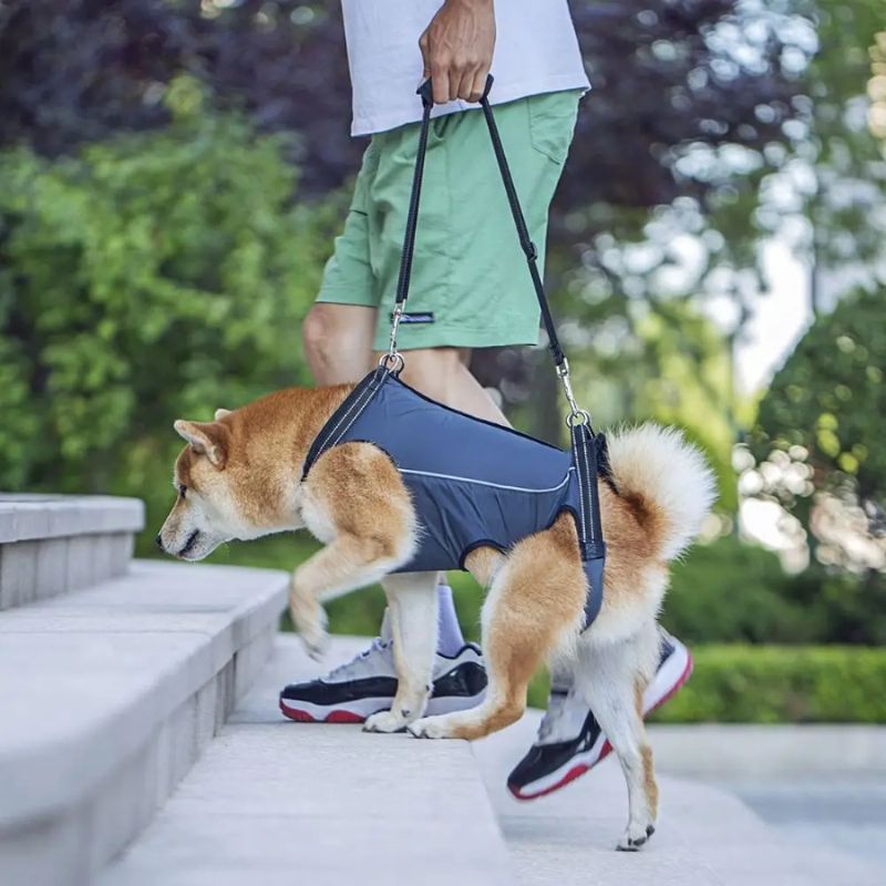 Peitoral de Suporte Ortopédico para Cães