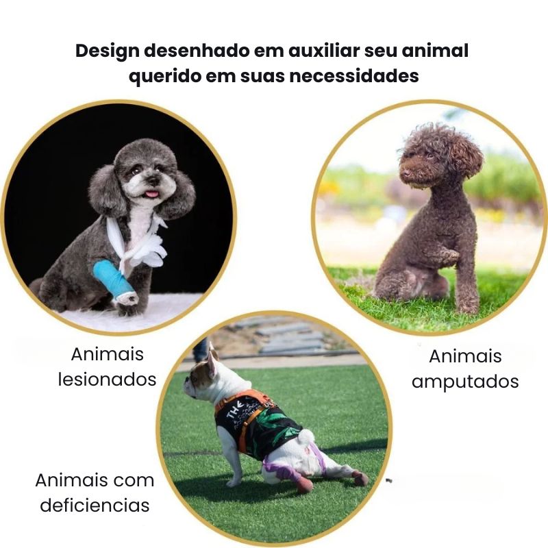 Peitoral de Suporte Ortopédico para Cães